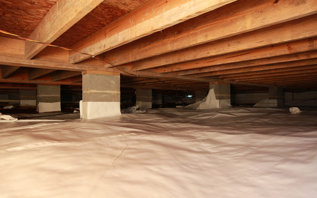 mold in crawl space