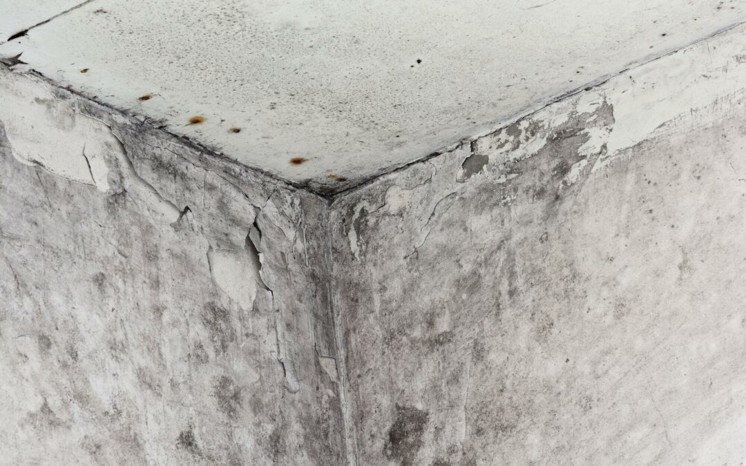 Dampproofing vs Waterproofing: Which Suits Your Basement?