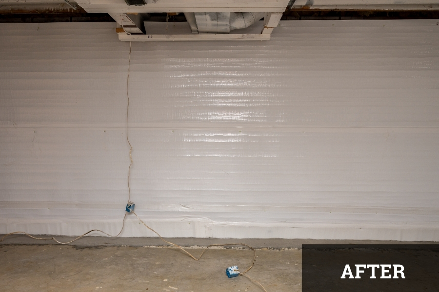 2 mold remediation